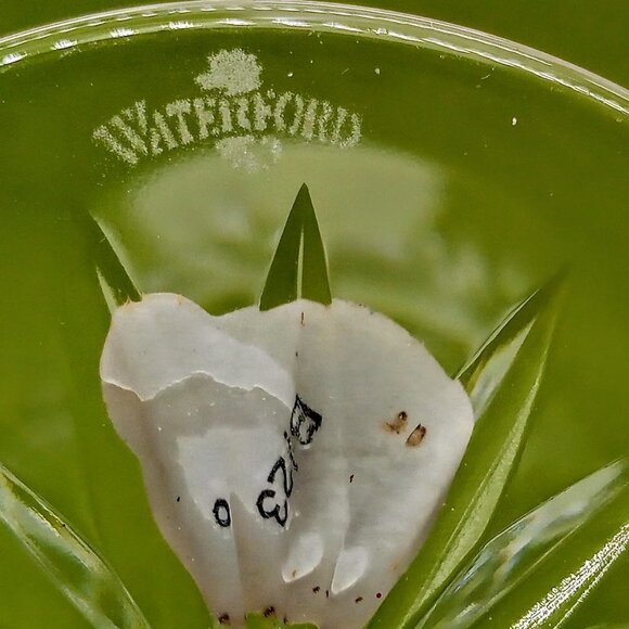 Waterford Ashleigh Blown Crystal Goblet - Picture 7 of 7